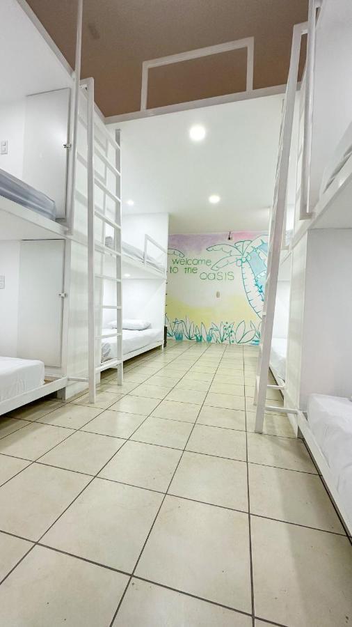 Sjo Oasis Hostel San José Buitenkant foto